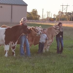 Meet your Posher, Jake